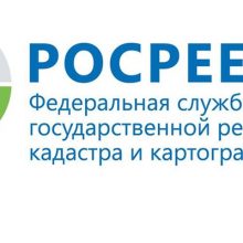 Как и где заказать выписку из ЕГРН через сайты Росеестра, Госуслуг, МФЦ