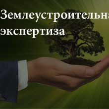Когда нужна экспертиза землеустроительной документации?